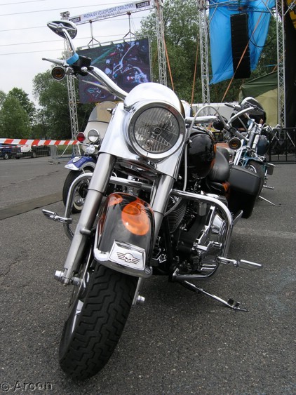 0385P6022095.jpg