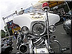 0382P6022092.JPG